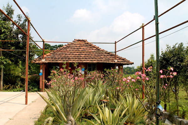 cottage_nibhriti at Bawali
                                    Farmhouse