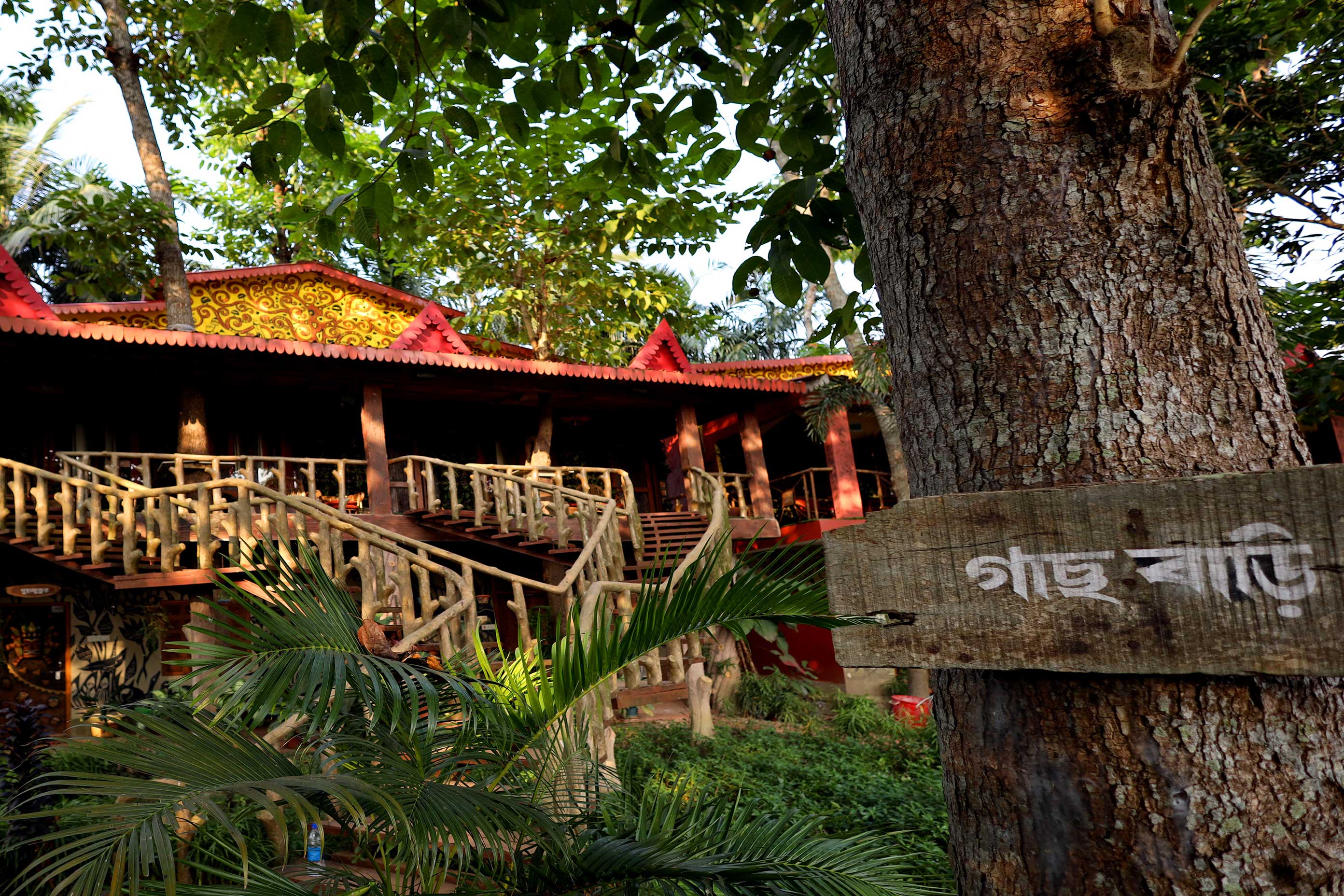 bawali-tree-house